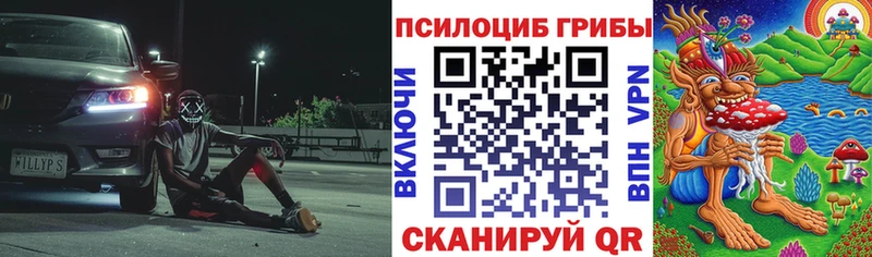 мориарти как зайти  Никольское  Псилоцибиновые грибы Psilocybine cubensis  купить наркоту 
